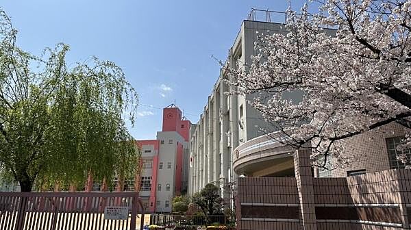 大阪市立古市小学校まで160m