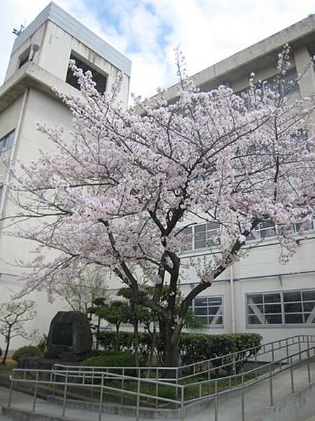 寝屋川市立第八中学校まで1568m