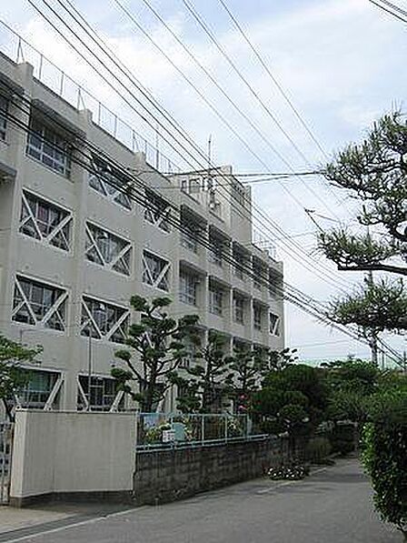 寝屋川市立木屋小学校まで715m