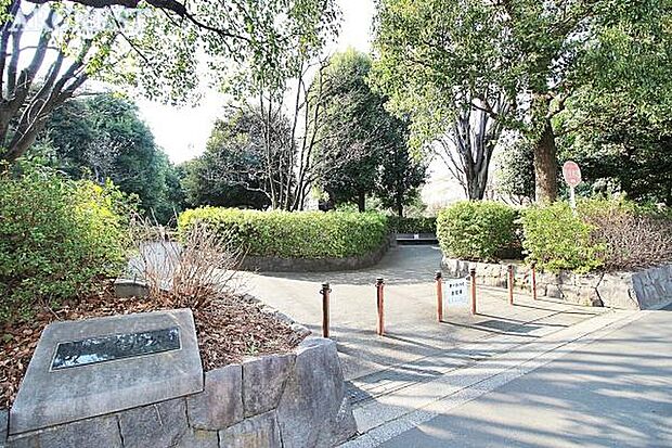 谷戸イチョウ公園まで245m、ひばりケ丘駅南口より徒歩8分遊具やベンチ、御手洗いもあり、周辺の子供達に人気です。