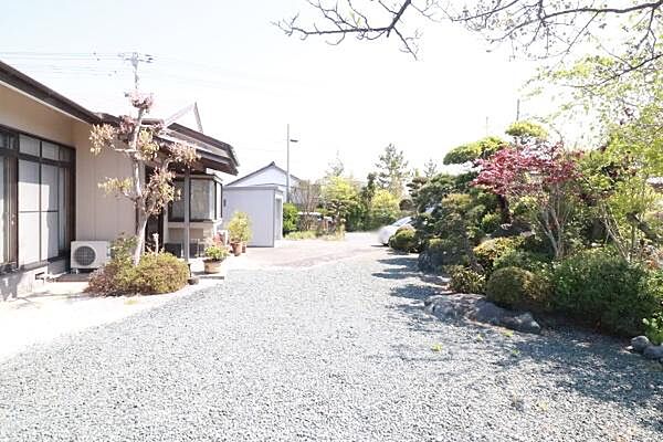 庭木と通路の様子