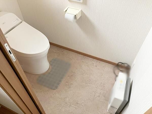 シャワートイレの様子