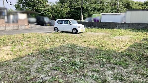 現地の様子
