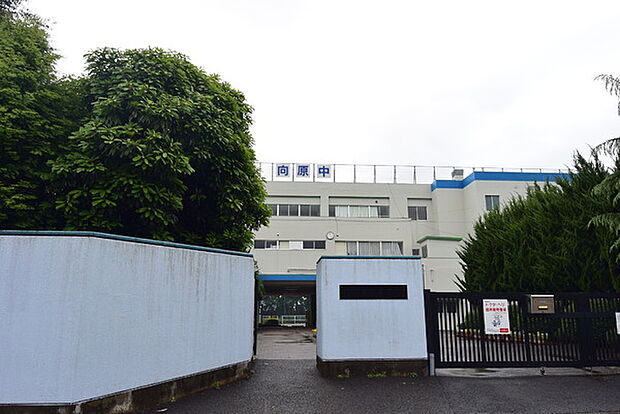 入間市立向原中学校まで1384m