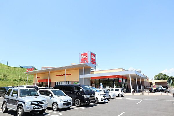 ベルク 飯能阿須店まで776m