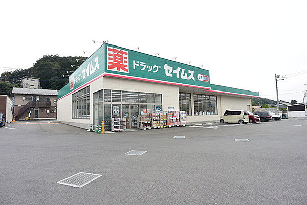 ドラッグセイムス入間仏子店まで1205m