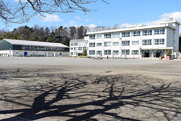 狭山市立笹井小学校まで1136m