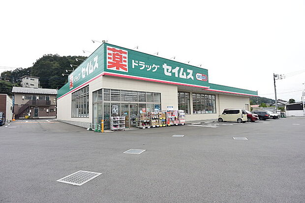 ドラッグセイムス入間仏子店まで753m