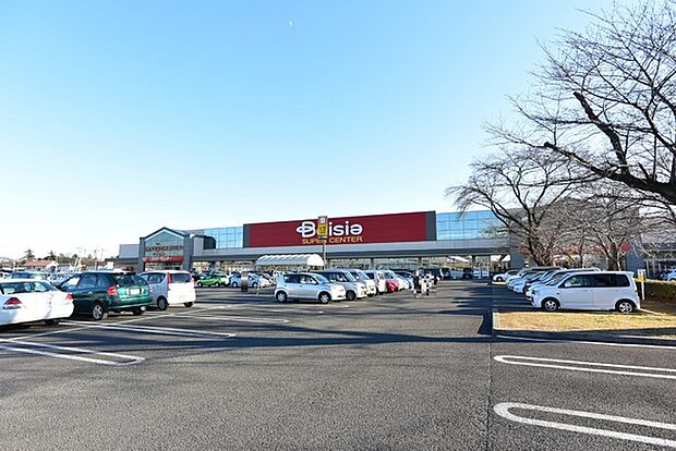 ベイシアひだかモール店まで1235m