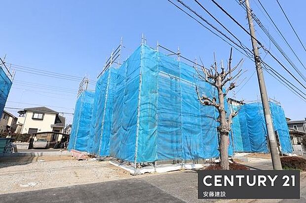 約50坪のゆとりある敷地