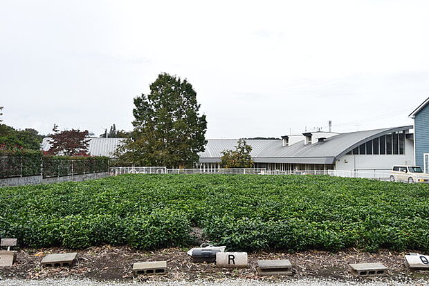 茶々保育園まで1509m