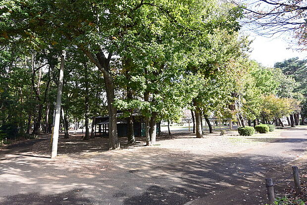 緑町中央公園まで1173m