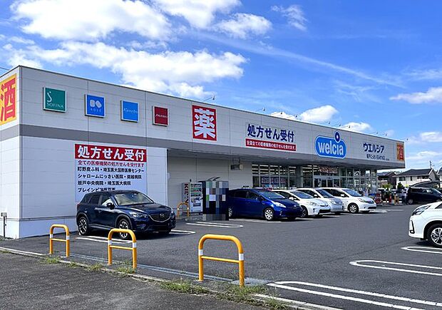 ウエルシア坂戸にっさい花みず木店まで1028m