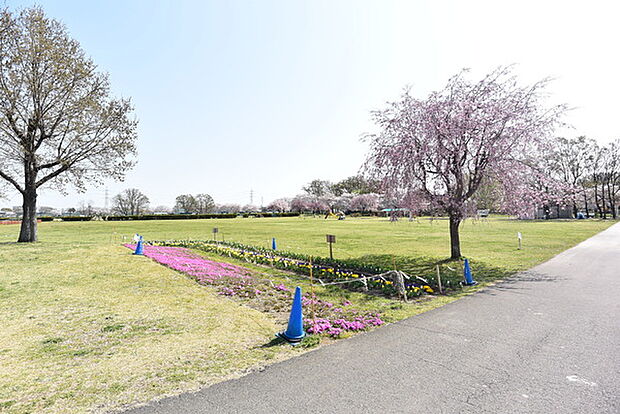上奥富運動公園まで2952m