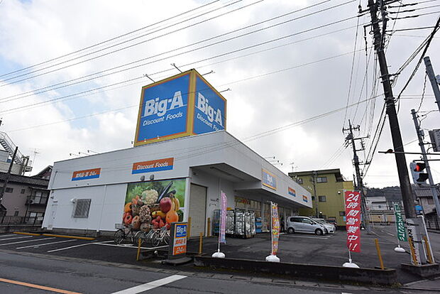 ビッグ・エー入間仏子店まで809m