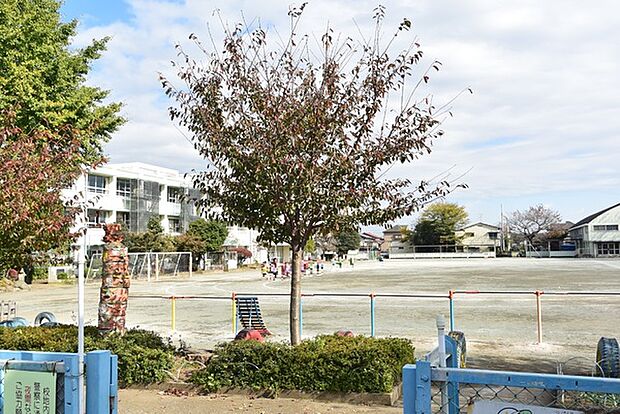 所沢市立富岡小学校まで2018m