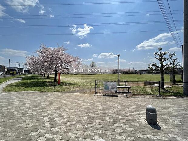 藤沢中央公園まで608m