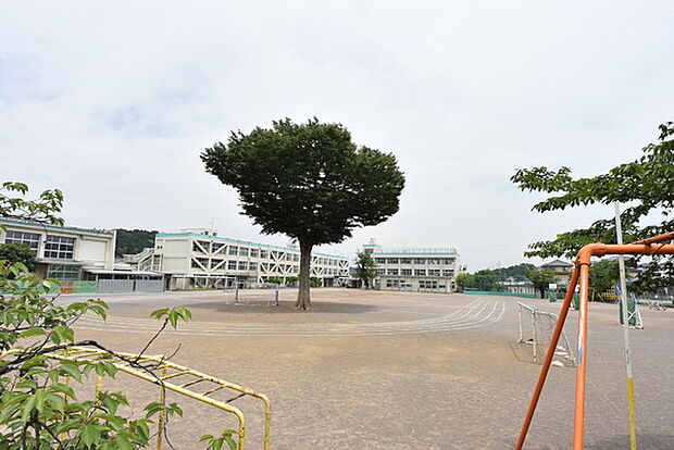 入間市立金子小学校まで438m