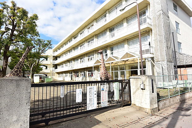 所沢市立伸栄小学校まで650m