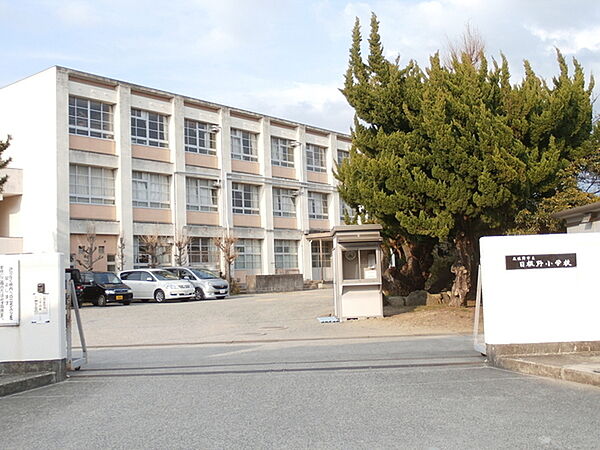泉佐野市立日根野小学校まで1000m