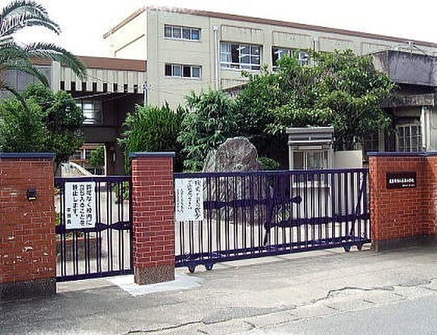 泉佐野市立長南小学校まで1200m
