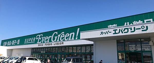 スーパーエバグリーン 泉南店まで1100m