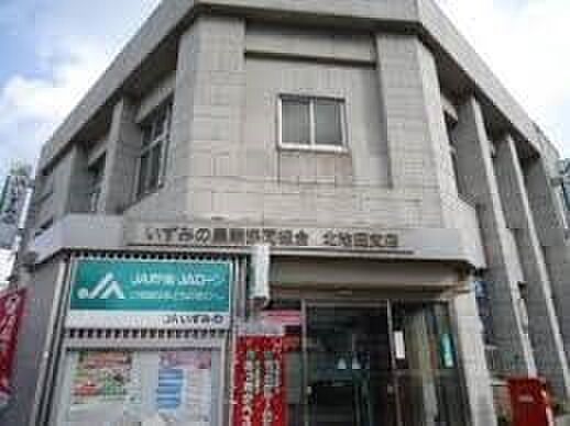 JAいずみの北池田支店まで1100m