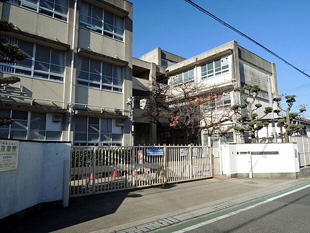 堺市立登美丘東小学校まで800m