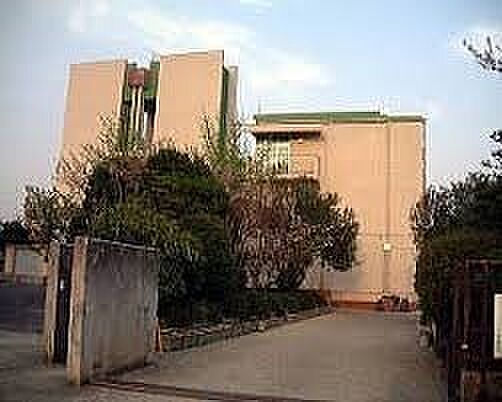 松原市立松原小学校まで650m