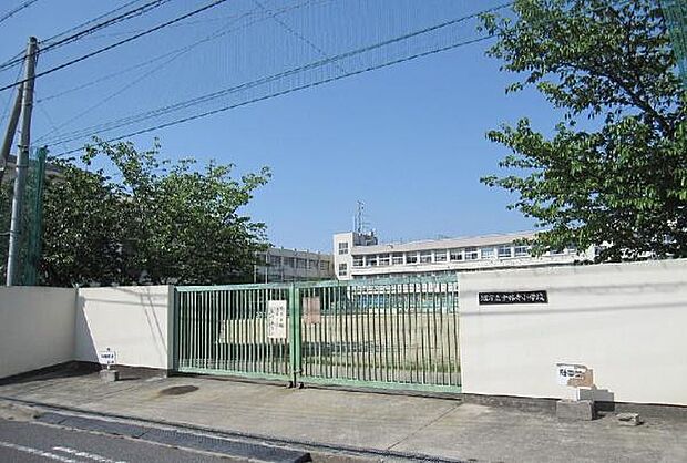 堺市立少林寺小学校まで210m