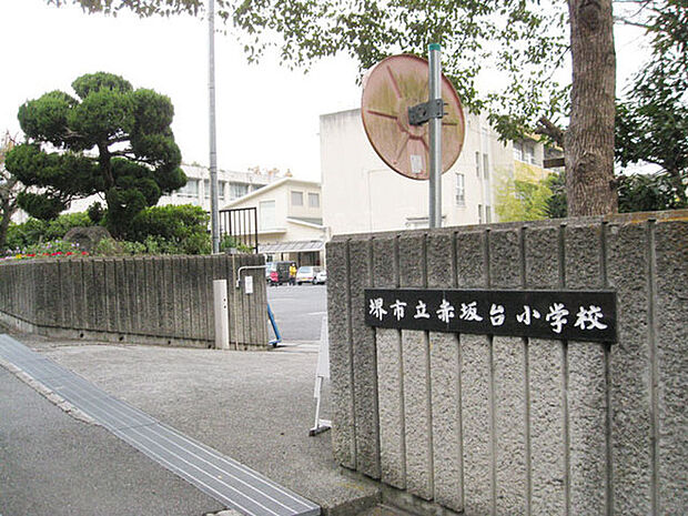 堺市立赤坂台小学校まで1100m