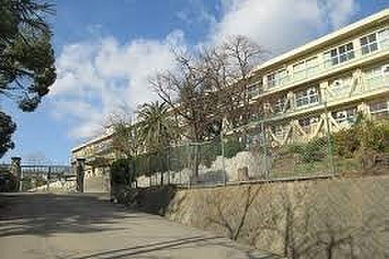 和泉市立石尾中学校まで1800m