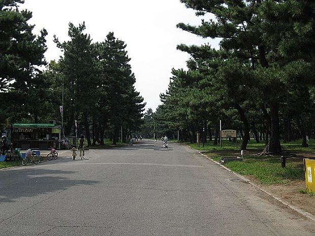 浜寺公園まで1100m