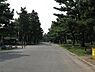 周辺：浜寺公園まで1100m