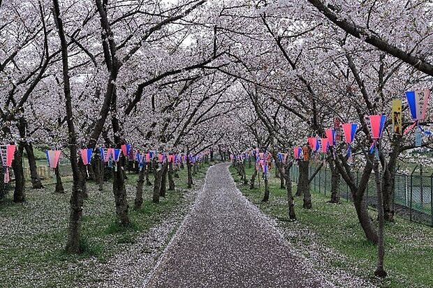 鴨谷公園まで2200m