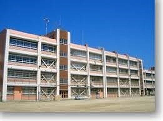 高石市立羽衣小学校まで770m