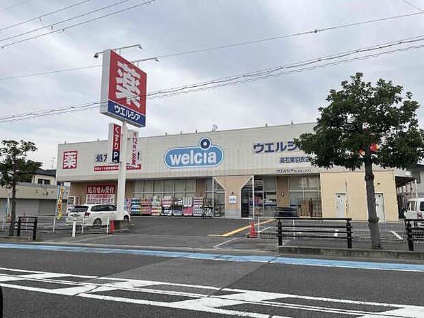 ウエルシア高石東羽衣店まで700m
