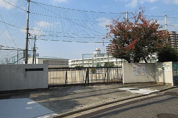 堺市立五箇荘中学校まで1800m