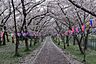 周辺：鴨谷公園まで1100m