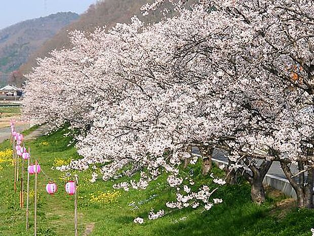鈴の宮公園まで1000m