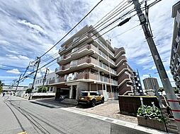 ベルドゥムール草加新田