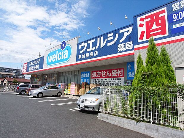 ウエルシア草加柳島店まで800m、ウエルシア草加柳島店800m(徒歩10分）