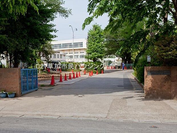 安行中学校まで1700m、川口市立安行中学校1700m（徒歩22分）