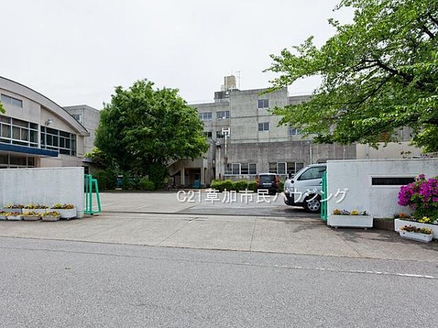 稲荷小学校まで800m、稲荷小学校800m(徒歩10分）