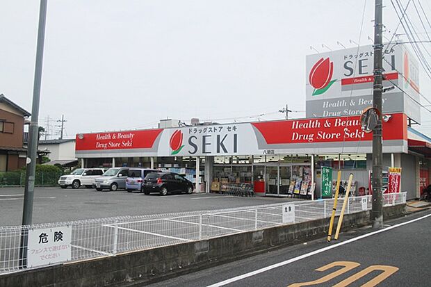 ドラッグストアセキ八潮店まで718m、ドラッグストアセキ八潮店 718m(徒歩9分)