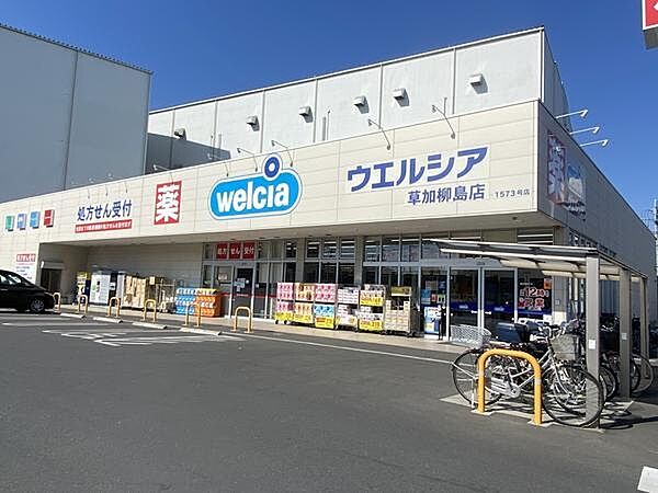 ウエルシア草加柳島店まで300m、ウエルシア草加柳島店300m(徒歩4分)