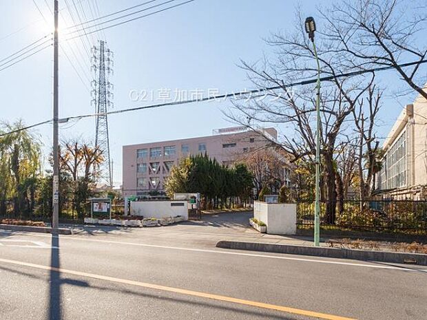 新栄中学校まで800m、新栄中学校800m(徒歩10分)