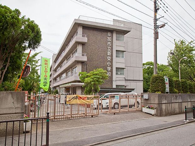 新栄小学校まで600m、新栄小学校600m(徒歩8分)