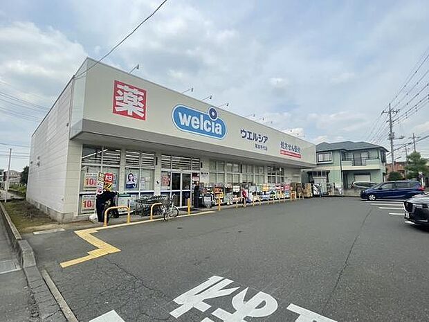 ウエルシア草加手代店まで250m、ウエルシア草加手代店250m(徒歩4分)