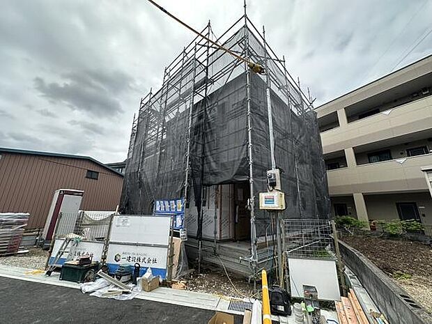 6/5撮影
